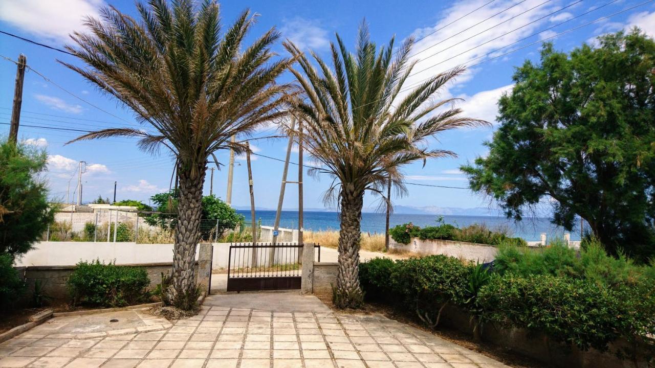 Summerhouse Peggy: Close To Athens Airport By The Sea Artemida  Exterior photo